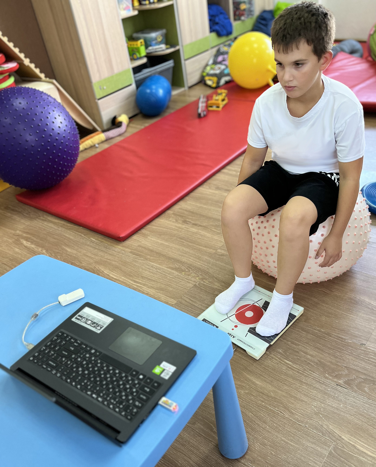 Стабилотренажер A-150, 300х310